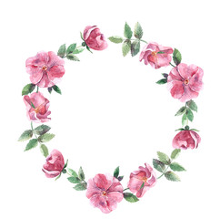  Rosehip wreath - watercolor illustration. Hand drawing blooming roses. Round frame