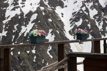 artificial flowers on the background of snowy mountains