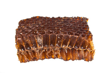 honeycomb isolated on white background
