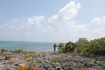 Fototapeta premium grand cayman island beach summer