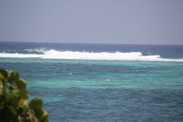 grand cayman island beach summer