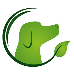 eco friendly environment