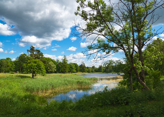 Summer bright landscape with a lake, greenery and clouds
