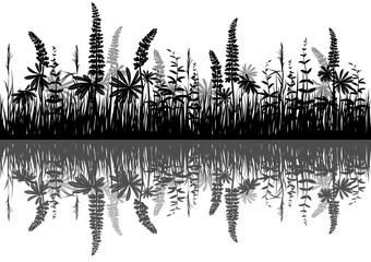 Line Seamless Landscape with Black Silhouette Grass and Lupine, Reflecting in Water, Isolated on White Background. Vector