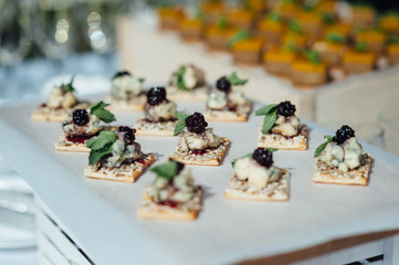 catering services background with snacks on guests table outdoor wedding party