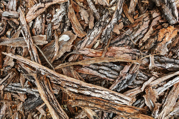 Chips of tree bark on the ground. Sawmill. Ecological background