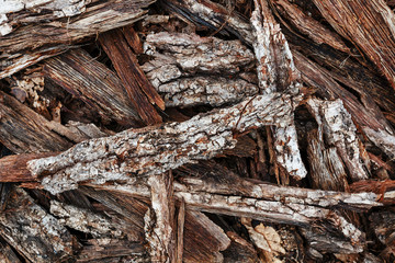 Chips of tree bark on the ground. Sawmill. Ecological background