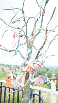 A Lot Of Colored Ribbons On The Branches Of The Tree As A Symbol Of Strong Bonds After Marriage