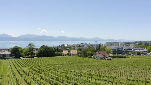 Aerial climb from vineyard revealing Morges agglomeration and Lake Leman
