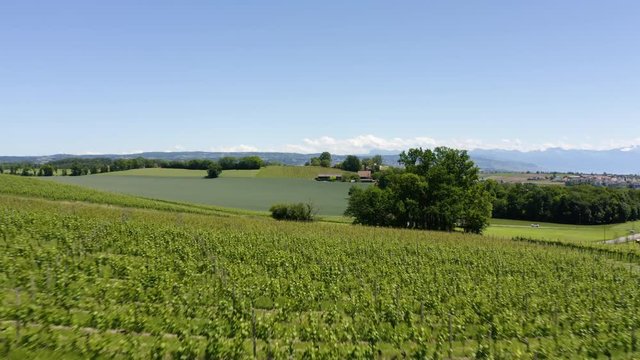 Aerial climb over vineyards and fields, outskirts of Morges, Vaud Switzerland