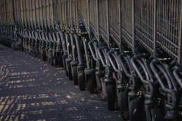 grocery carts lined up in a long row on the street