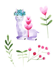 Illustration of drawing colored watercolor animal alpaca among flowers and plants on an isolated background.
