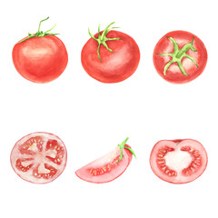 hand painted Watercolor set of tomato vegetable isolated on white background. A piece of red tomato, half, slice, whole
