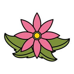 Obraz premium flower leaves natural decoration on white background