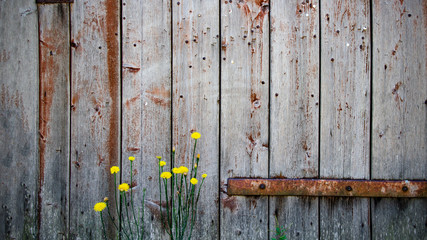 Bretterwand Holztextur rustika shabby vintage retro alt