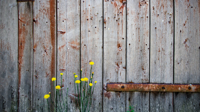 Bretterwand Holztextur rustika shabby vintage retro alt