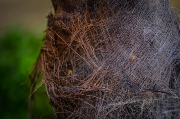 close up of the abstract walls - wallpaper design & bricks