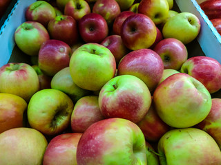 Green and red apples in a box for diet food and healthy food.