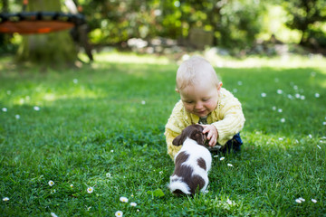 im Garten mit dem Hund