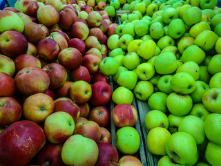 Red and green apples close-up on the counter for diet and health.