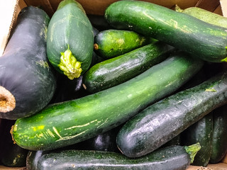 Zucchini squash in a box for healthy eating and vegetarians.