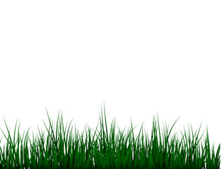 Fototapeta premium Green grass meadow border vector pattern. Spring or summer plant lawn. Photo realistic grass on a transparent background.