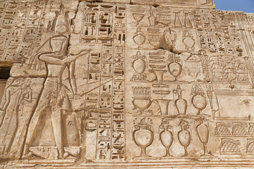Egyptian Hieroglyphs in Medinet Habu Temple, Luxor, Egypt