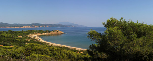 Panorama of exotic beach surrounded by green forest