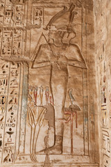 Fototapeta premium Egyptian Hieroglyphs in Medinet Habu Temple, Luxor, Egypt