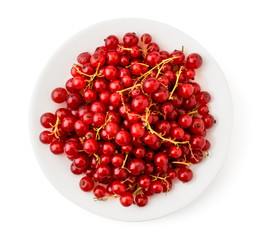 Red currant in a plate on a white background, isolated. The view of the top.