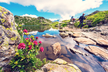 Charming mountain landscape with rhododendron and tourists at the lake in the French Alps