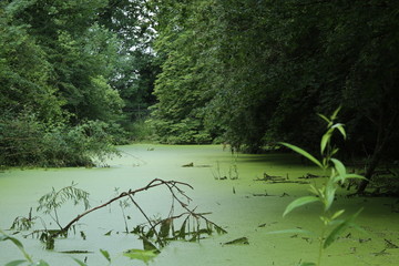 Tiergarten Hannover