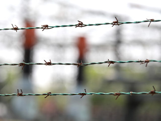 barbed wire in black and white