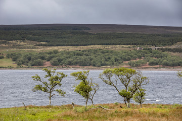 Obraz premium Das wilde, romantische Hochland von Schottland