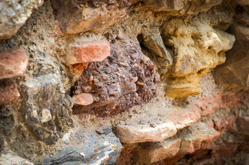 close up of the abstract walls - wallpaper design & bricks