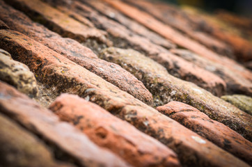 close up of the abstract walls - wallpaper design & bricks
