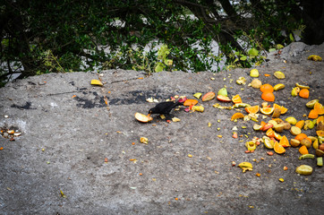 close up of the abstract walls - wallpaper design & bricks