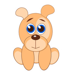 A little cute dog of beige color with kind eyes is sitting on the ground on a white background.