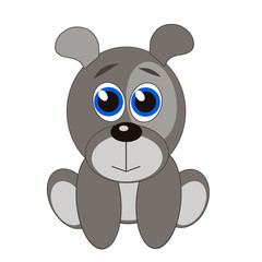 A little cute gray dog ​​with kind eyes is sitting on the ground on a white background.
