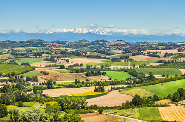 Fototapeta na wymiar Country landscape of Monferrato