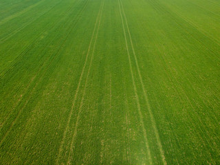 Obraz premium Spring plantations ready for the first rain