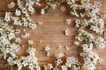 White and yellow flowers on the wooden table.