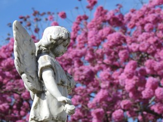 Scene in a graveyard: close-up of a stone statue of an angel holding a flower in its hand. In the...