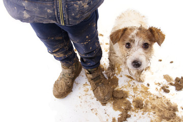 Dirty dog and kid. Guilty jack russell and boy wearing muddy cloth and shoes. Isolated on white...