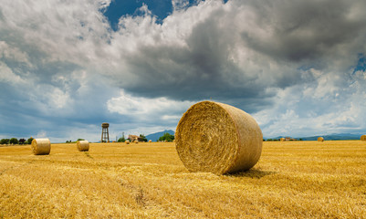 Round bale of hay © iron_man
