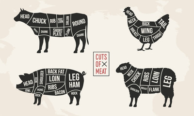 Set of Meat diagrams. Cuts of meat. Cow, Chicken, Pig and Sheep silhouette. Vintage Posters for groceries, butcher shop, meat store. Vector illustration
