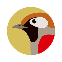 bird  head red-tailed haughing thrush,vector illustration