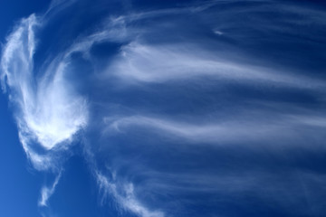 Sky Clouds Background. Nature For Your Design