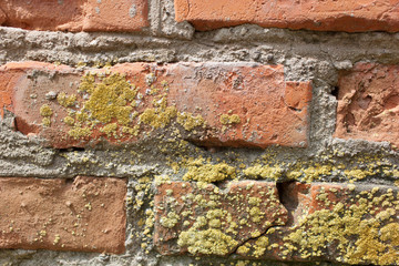 Background of old vintage dirty brick wall with peeling plaster, texture