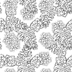 Flower garden succulent hand drawn line art. Cute seamless vector tile pattern. Retro vintage.